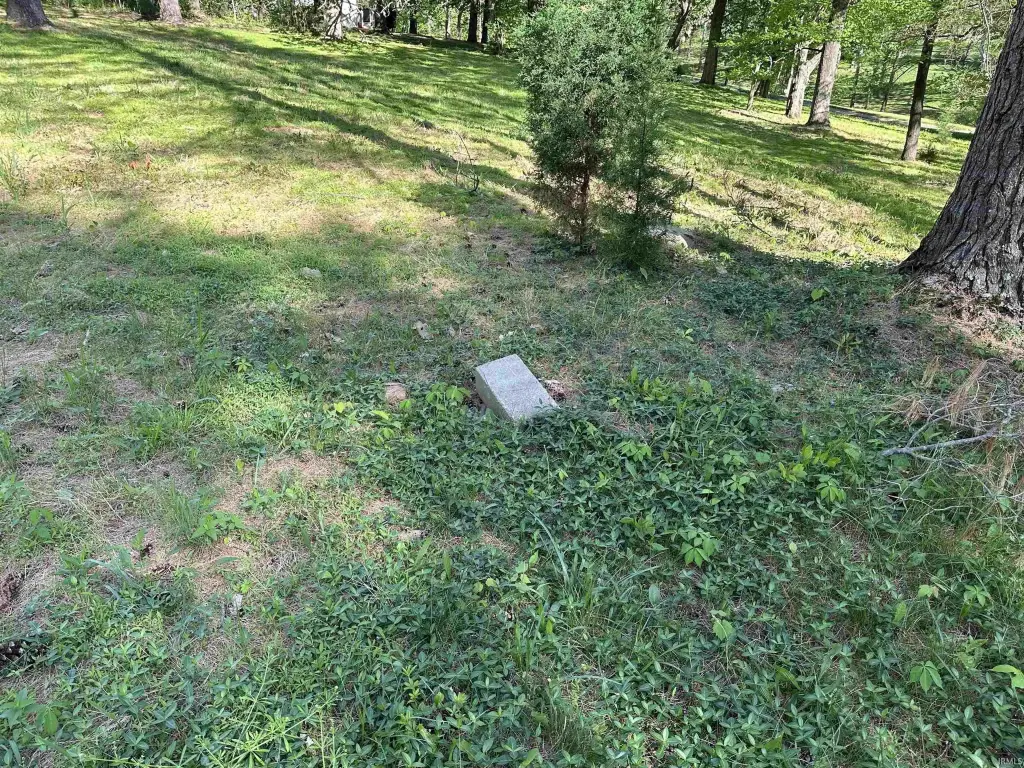 Picture 10