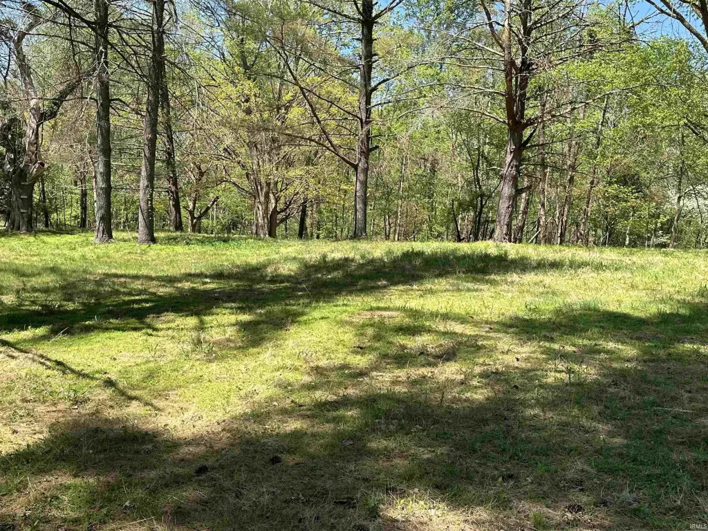 Picture 3