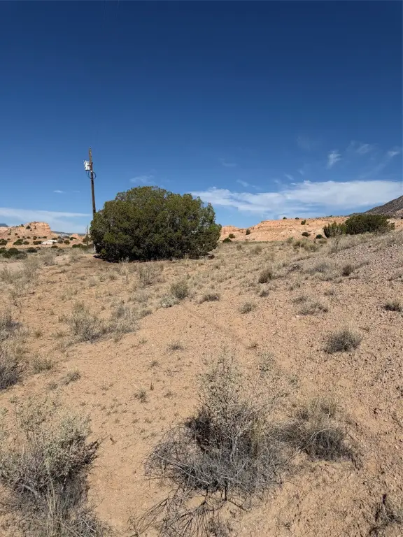 Picture 23