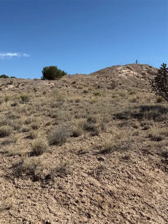 Picture 25