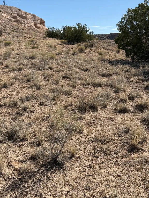 Picture 28
