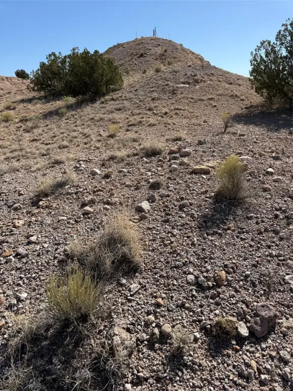 Picture 7