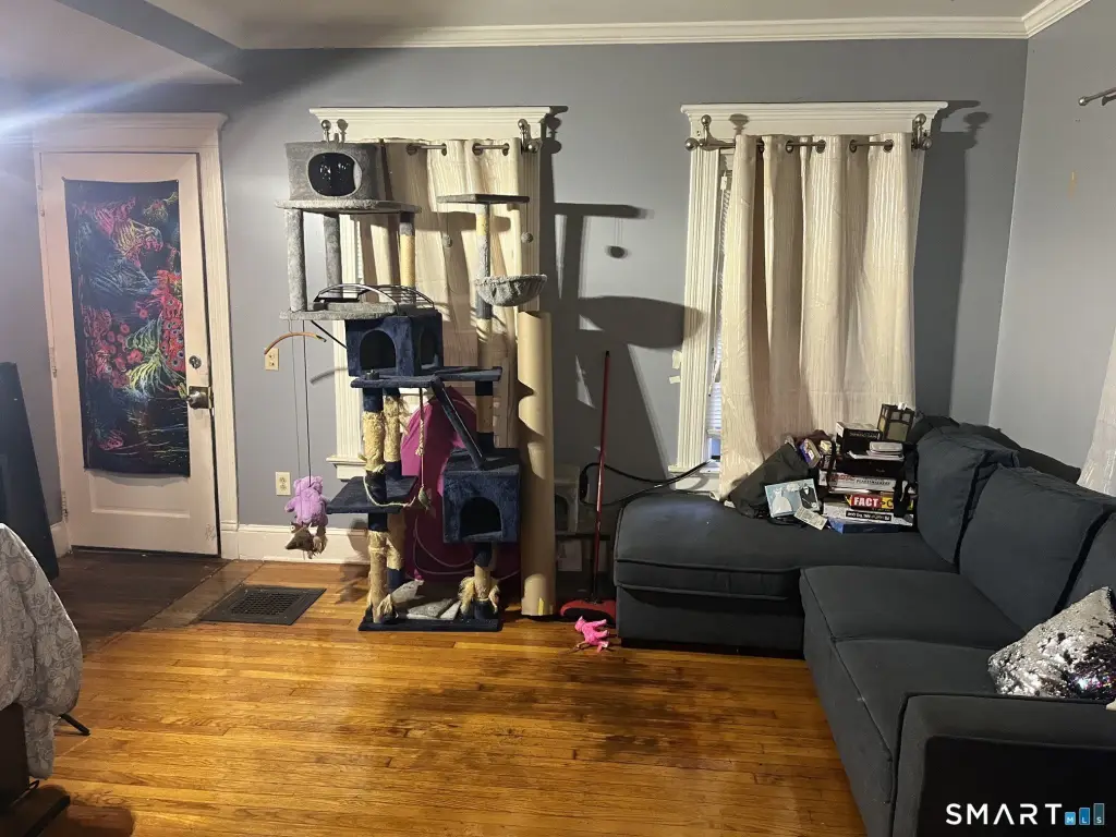 Picture 17