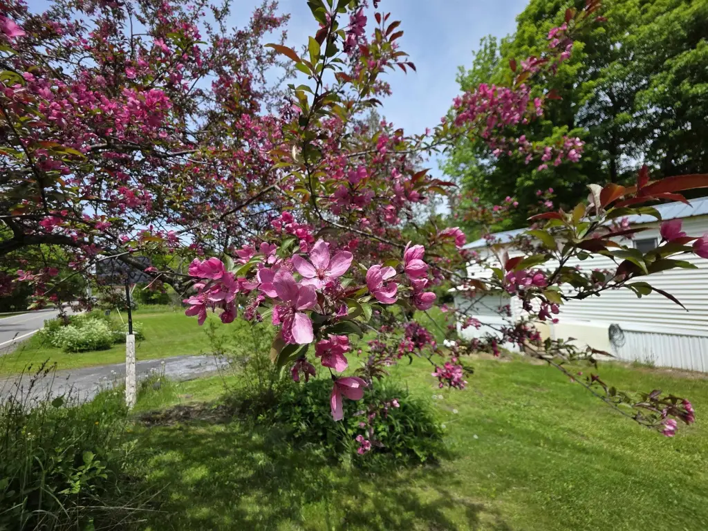 Picture 45