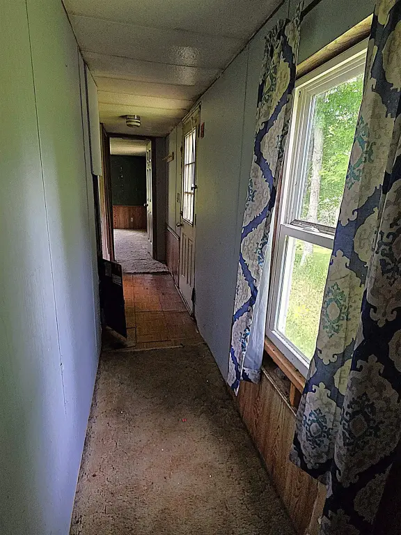 Picture 29