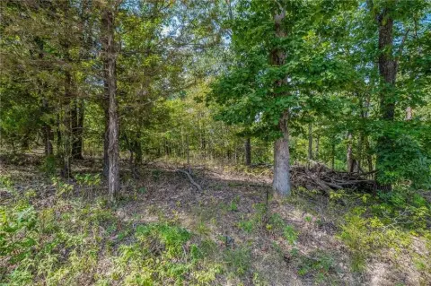 Wooded Lot Near Lake Loch
