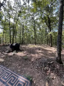 Secluded Wooded Retreat in Jasper