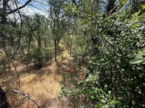 Rancho Tehama Homesite Opportunity