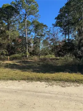 Residential Lot Near Suwannee River