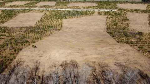 Land Near Lakes and Charleston