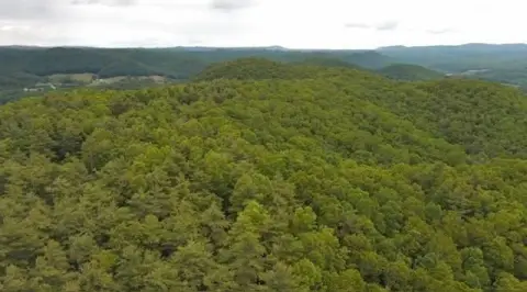 Camp Creek Vacant Land Opportunity