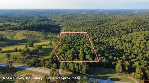 Wooded Acreage Land