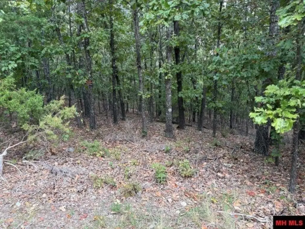 Picture 4