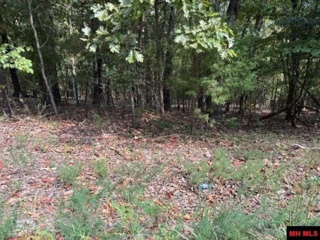 Picture 11