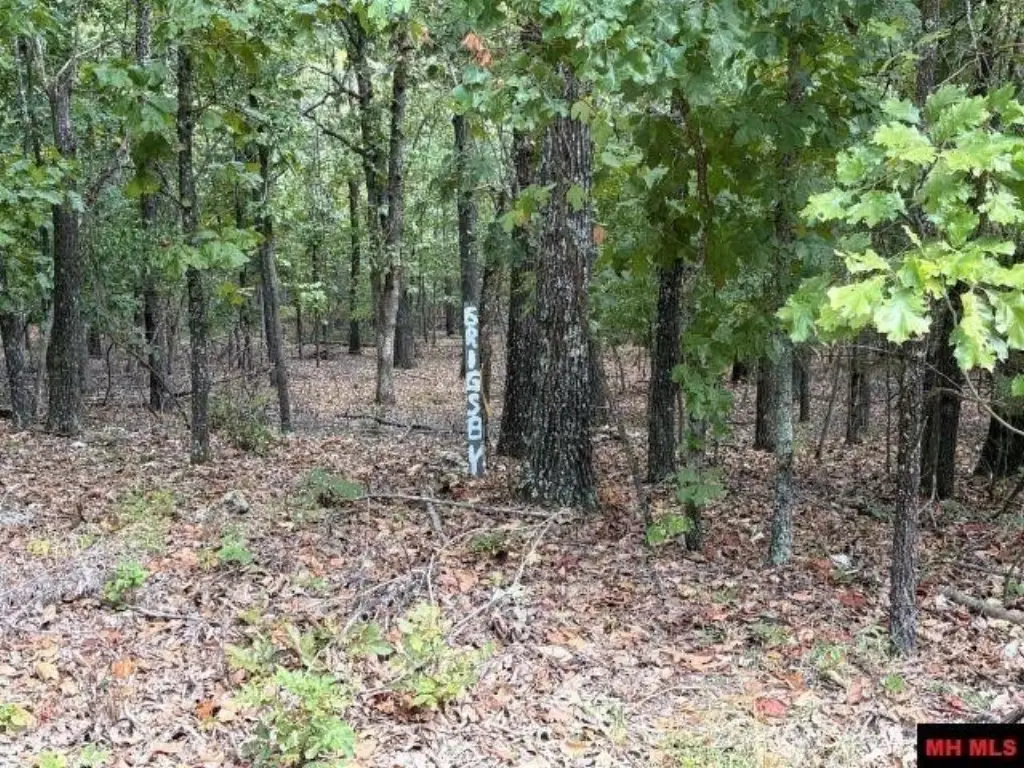Picture 7