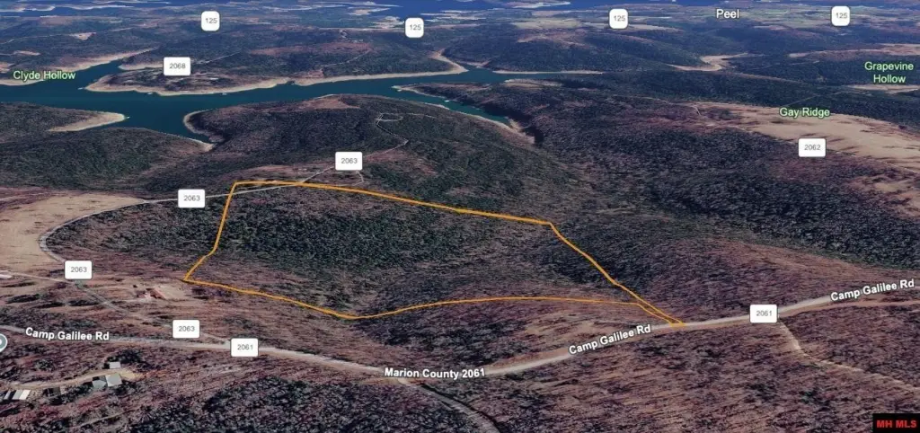 Picture 14