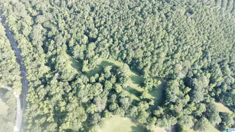 Columbiana Acreage with Hardwoods