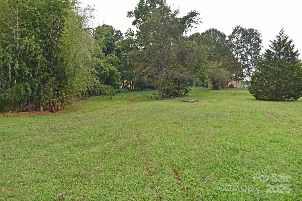 Picture 15