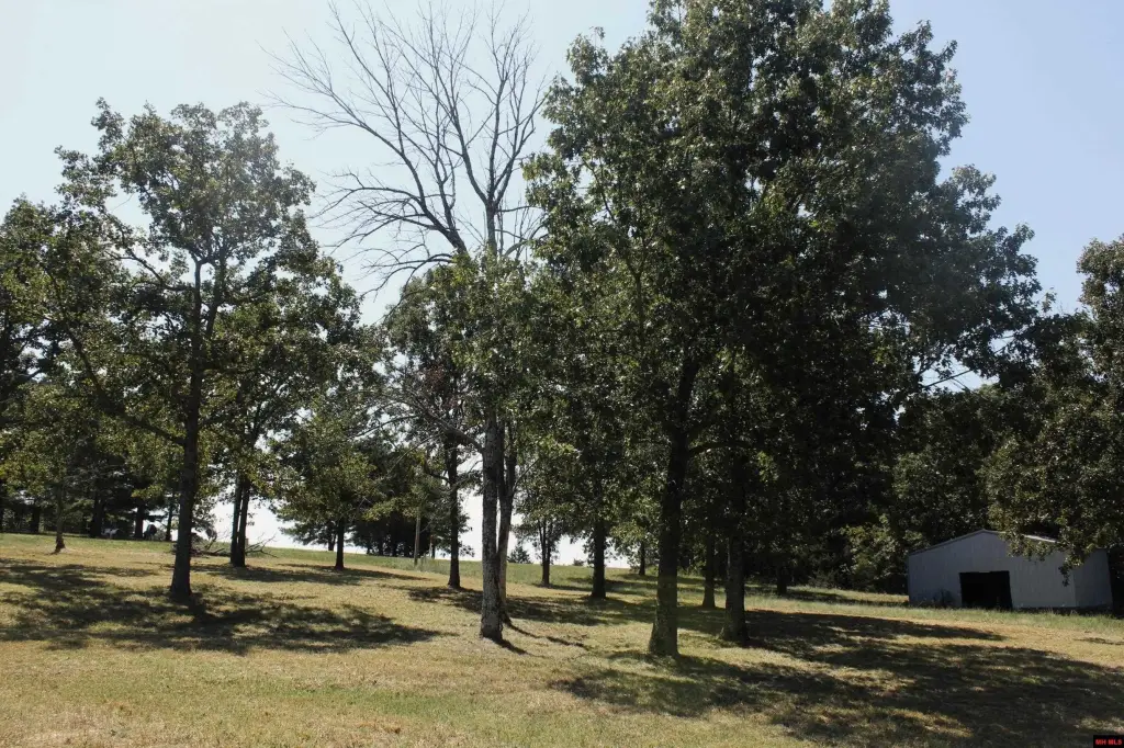 Picture 15