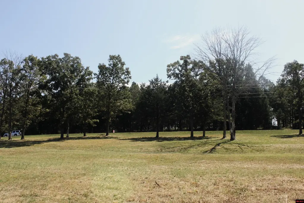 Picture 14