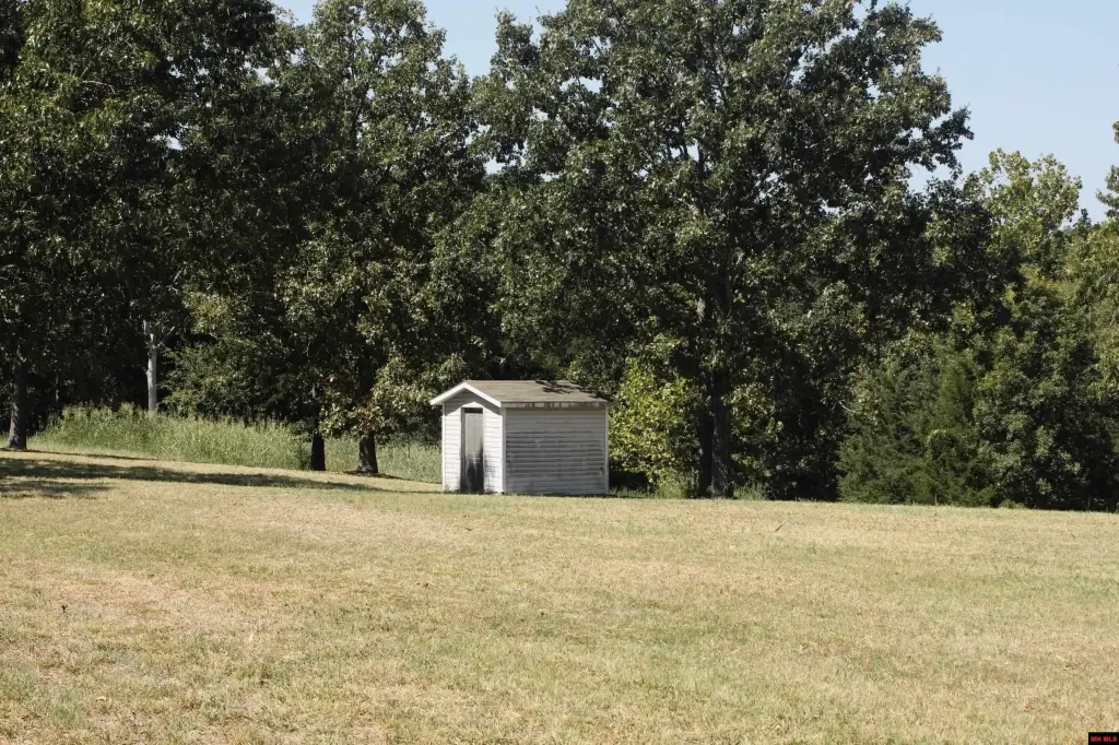 Picture 18