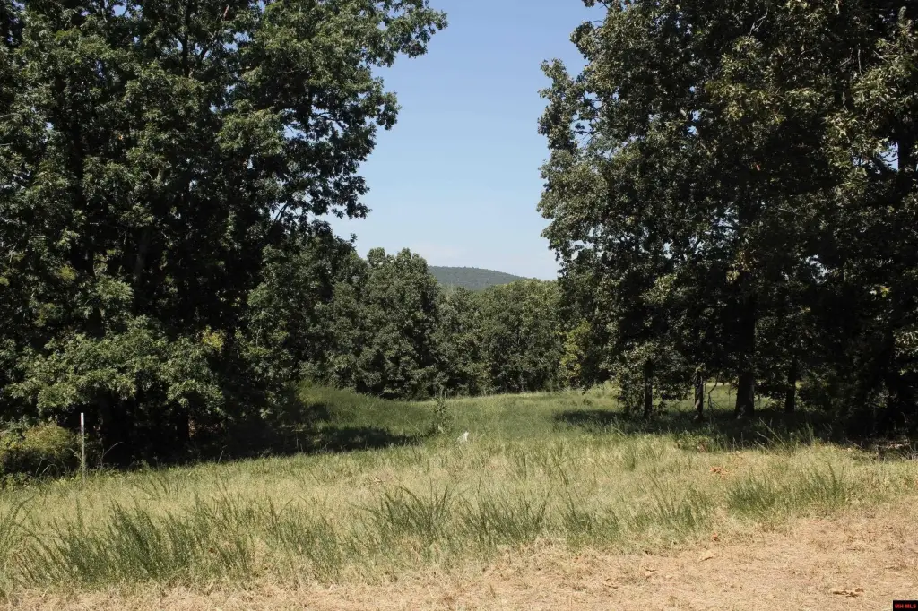Picture 16