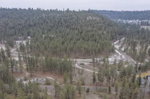 Spokane Acreage with Timber