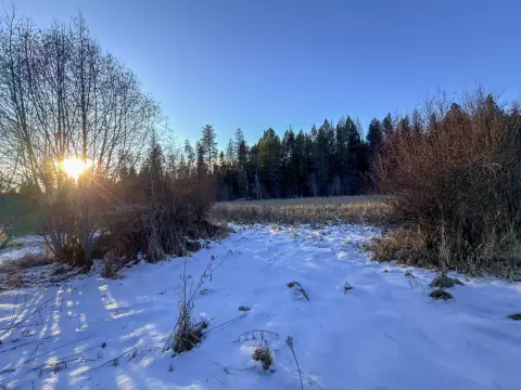 Highway-Frontage Commercial Land