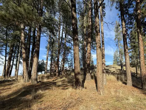 Residential Lot with Mountain View