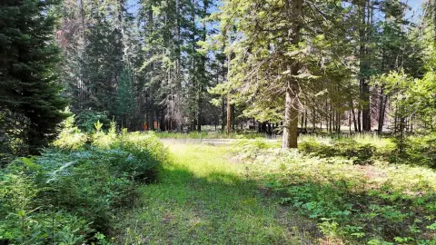 CUSICK, WA - 3.52 Acres