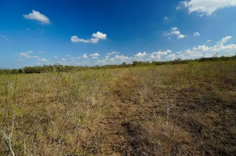 Secluded Land Parcel in Waelder