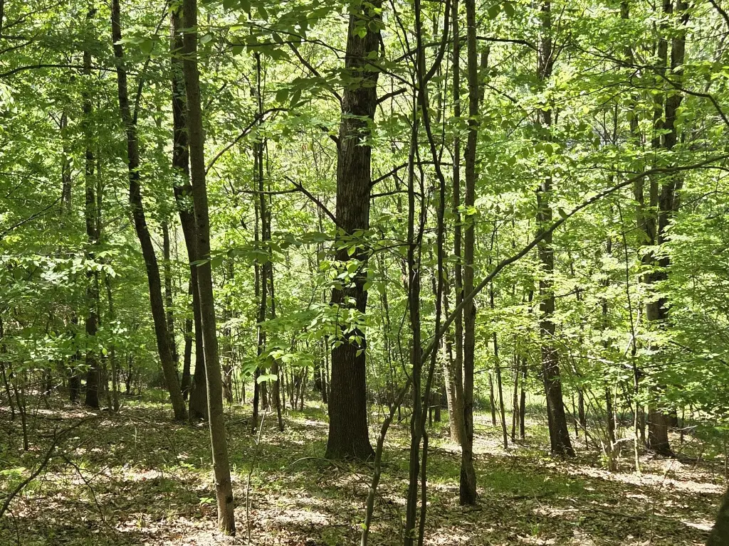 Picture 23