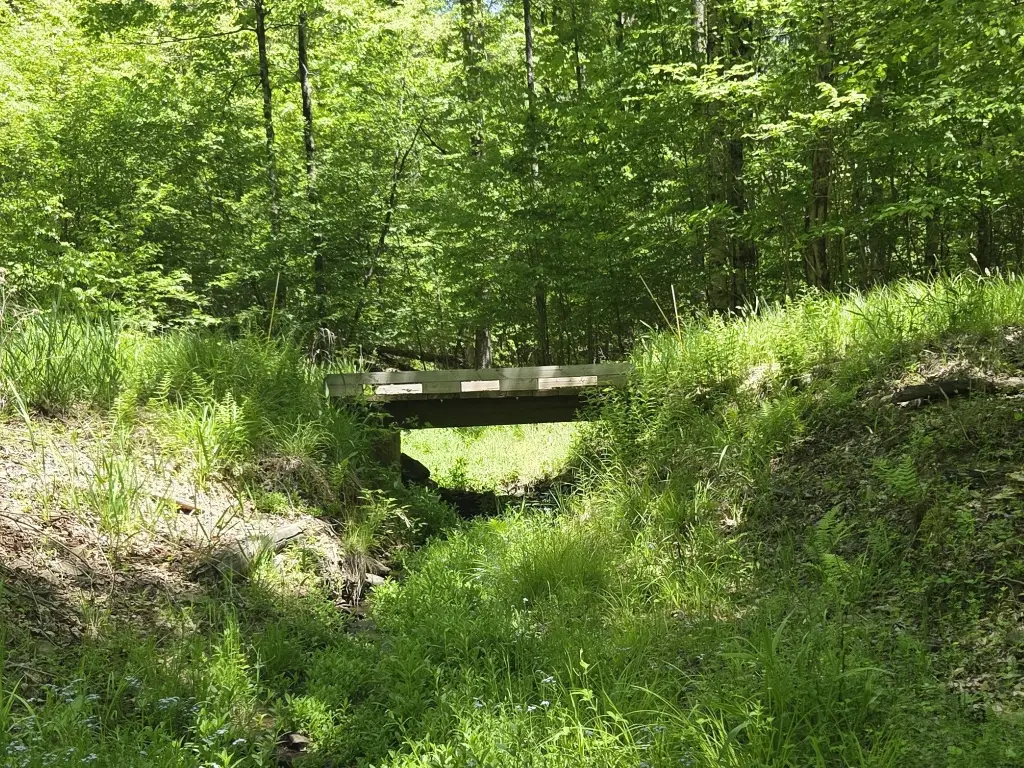 Picture 12