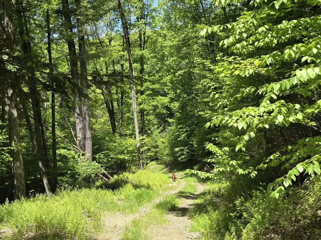 Picture 29