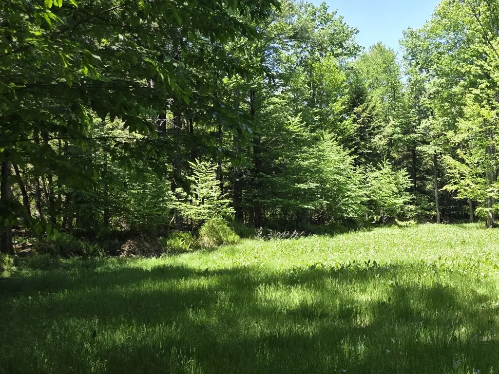 Picture 26