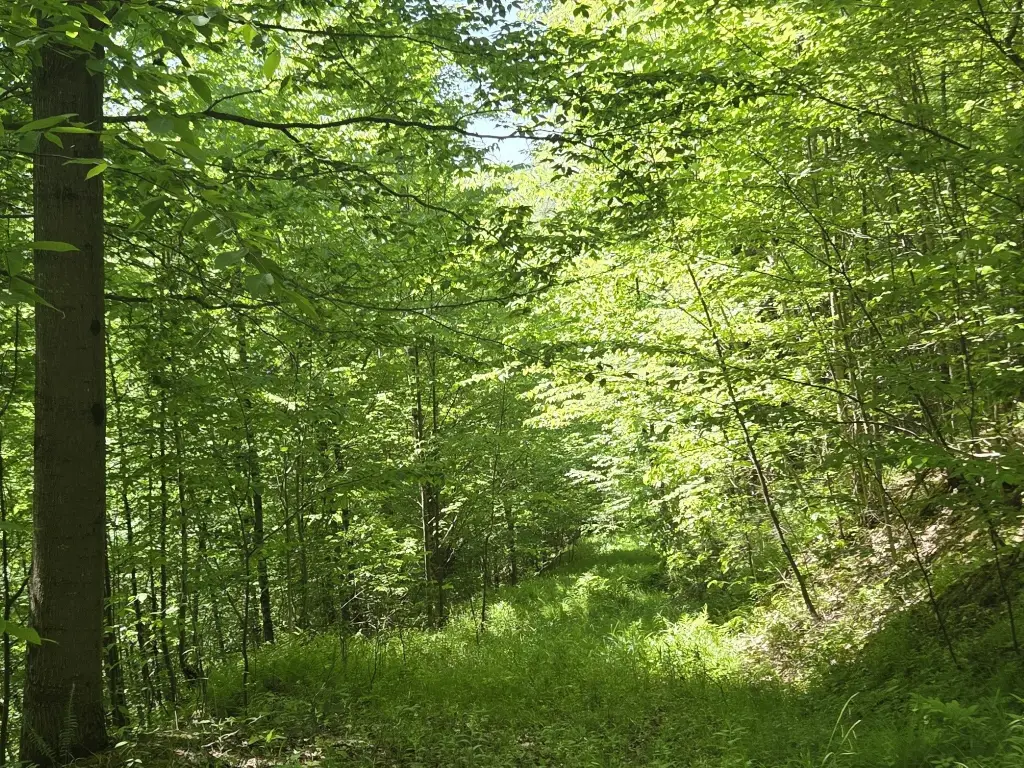 Picture 36