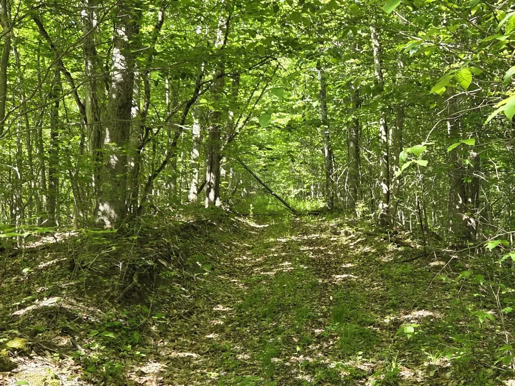 Picture 25