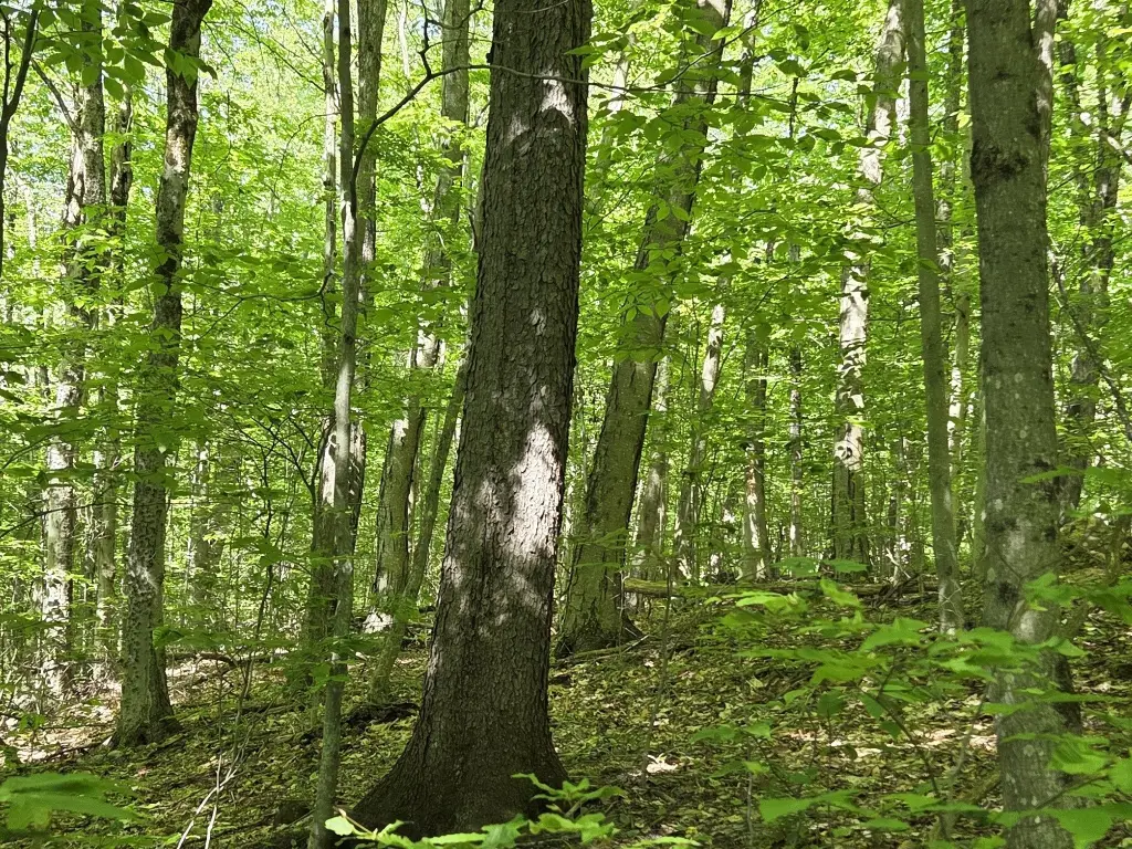 Picture 6