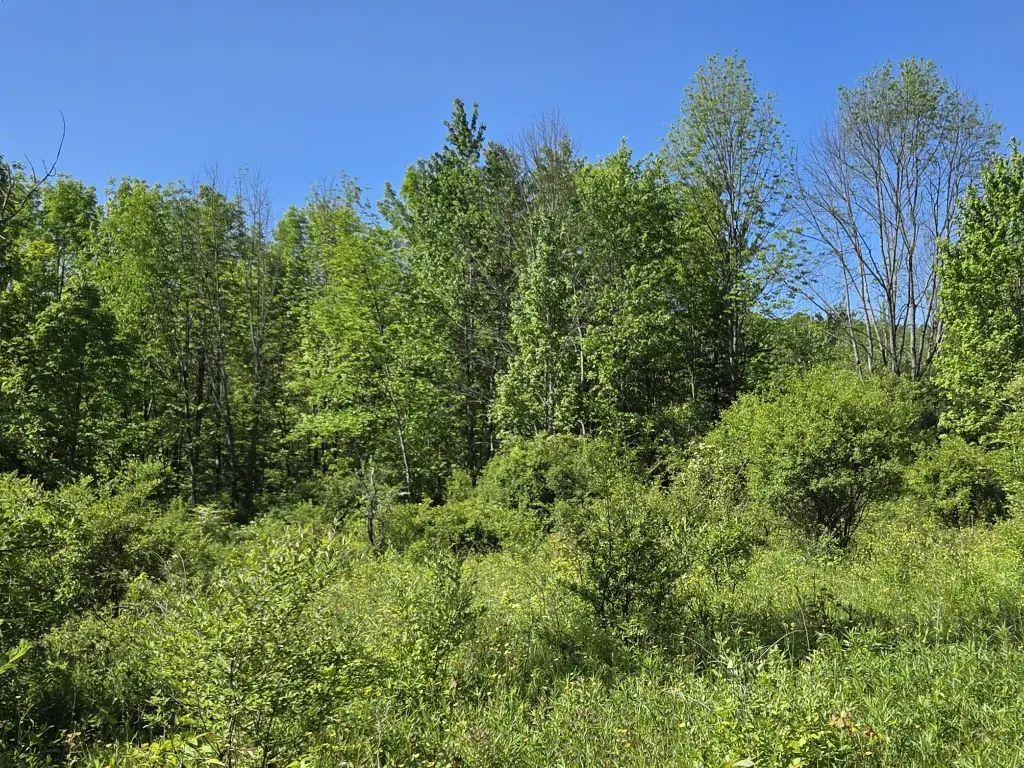 Picture 20