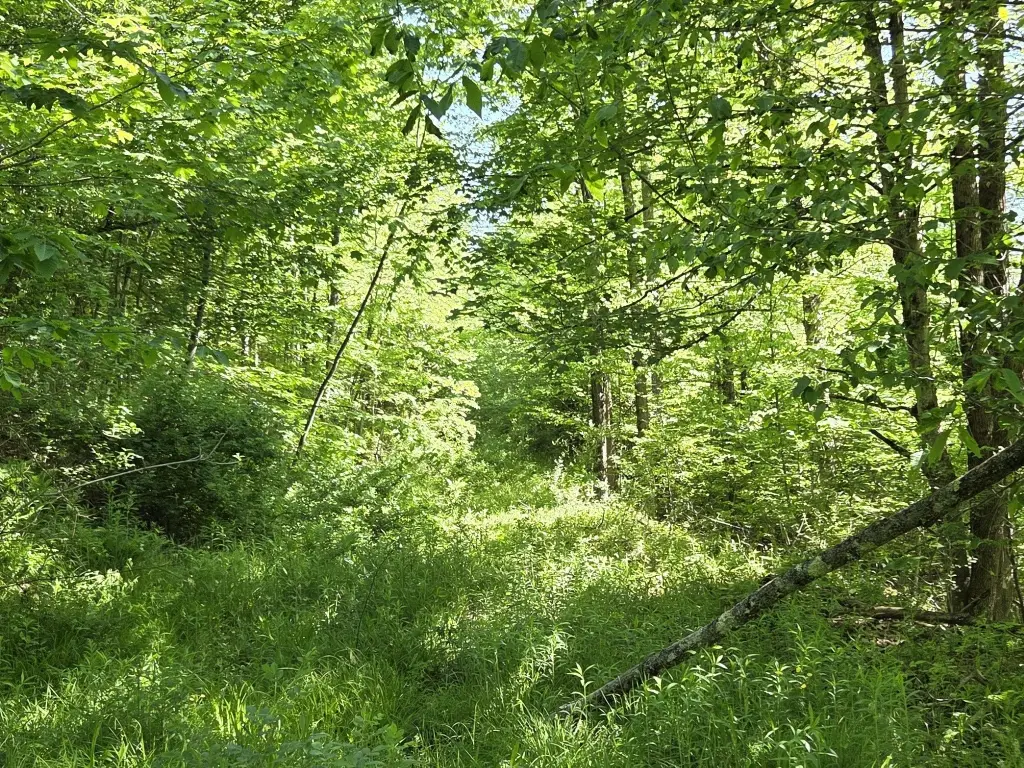 Picture 23