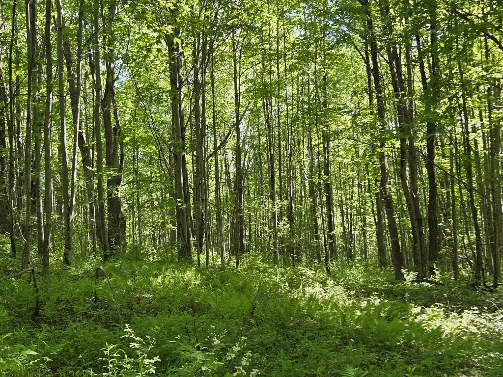 Picture 30