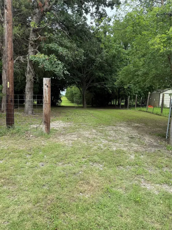 Picture 15