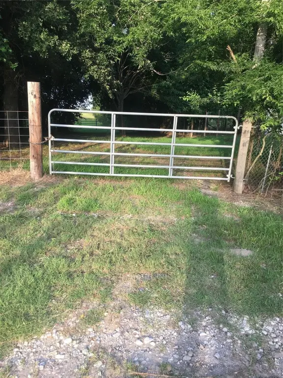Picture 14