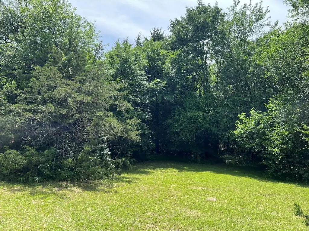 Picture 6