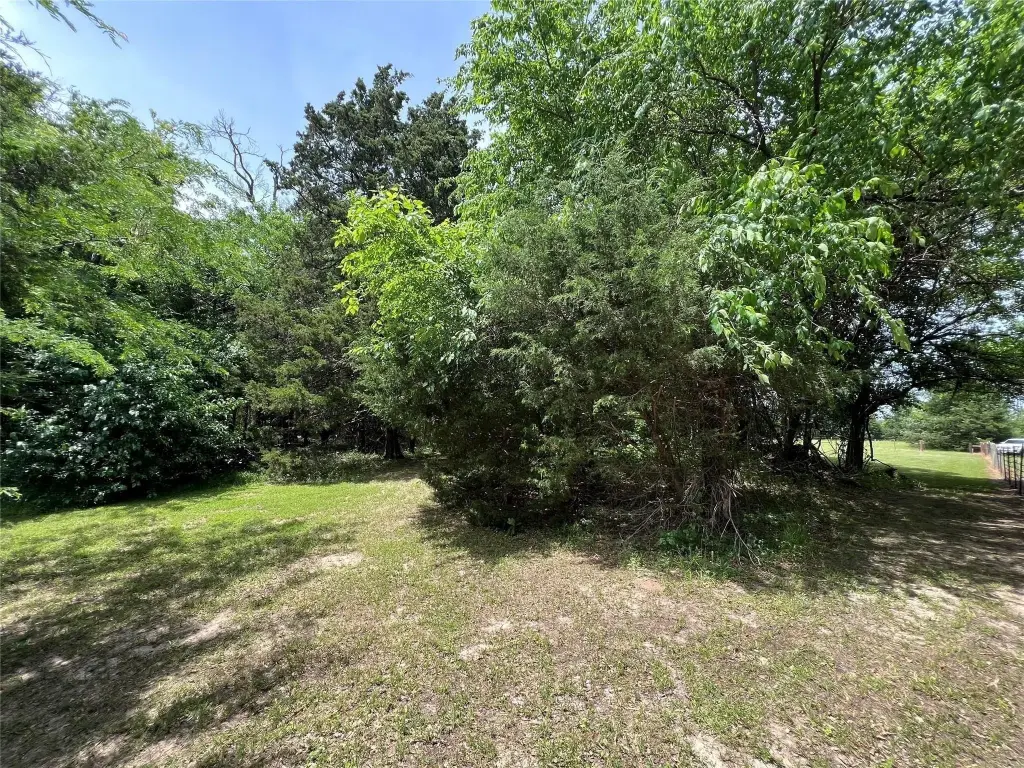 Picture 8