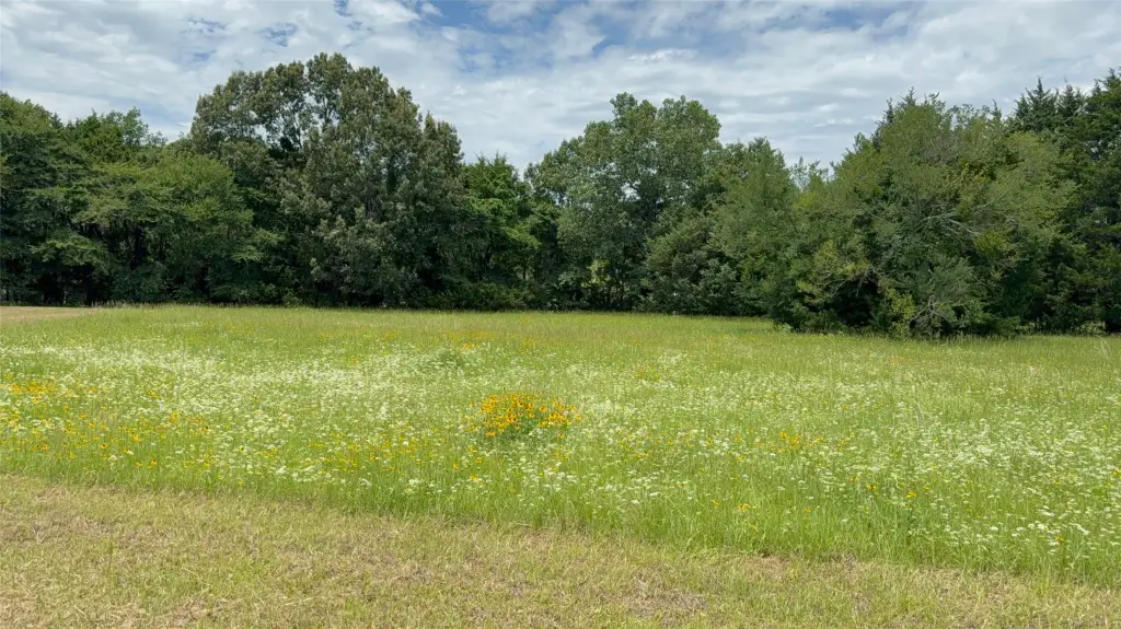 Picture 19