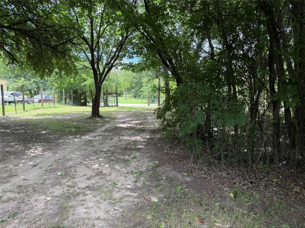 Picture 23