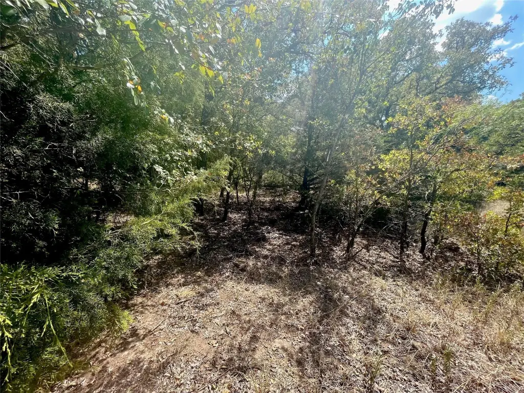 Picture 12