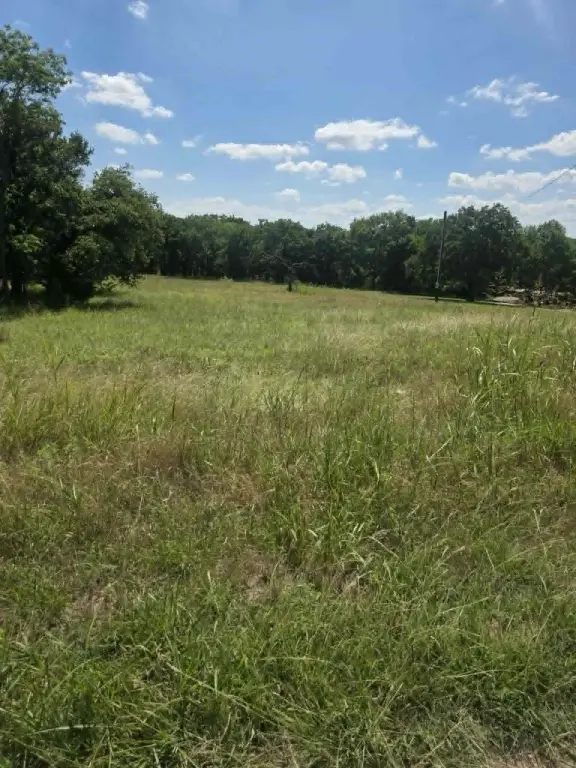 Picture 21