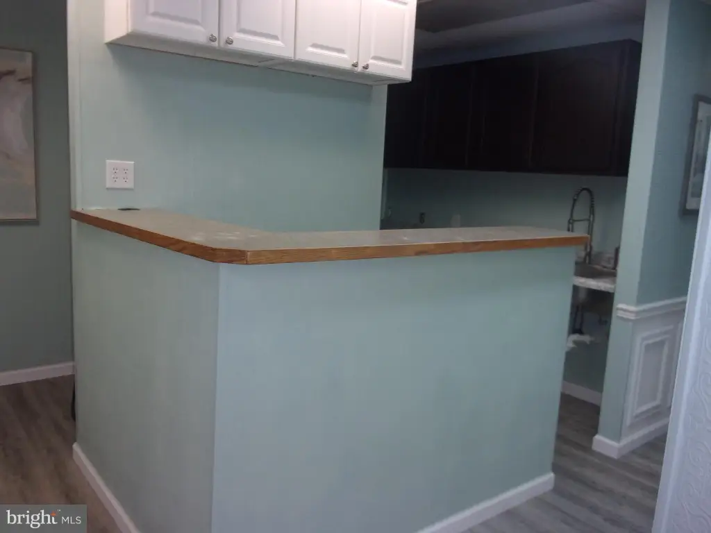 Picture 31